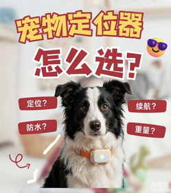 狗狗佩戴宠物定位器，宠物定位器选购指南，介绍定位方式、防水性能、续航和设备重量等选购要点。