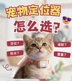猫咪佩戴宠物定位器，猫咪定位器选购指南，介绍定位方式、佩戴舒适度、续航和防丢功能